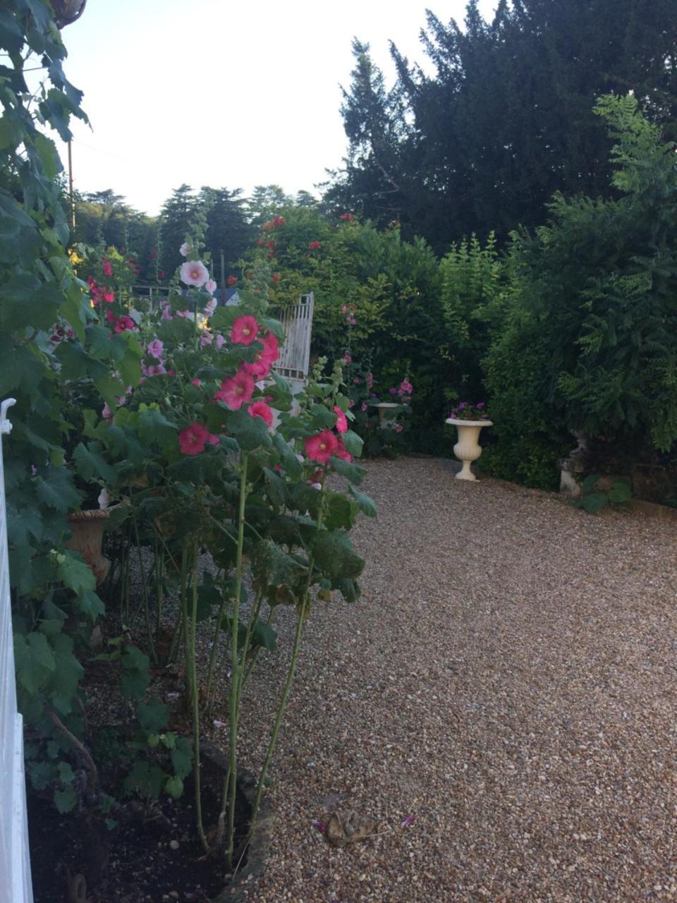 Le Clos Mademoiselle Loches Εξωτερικό φωτογραφία
